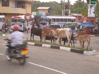 Tangalle