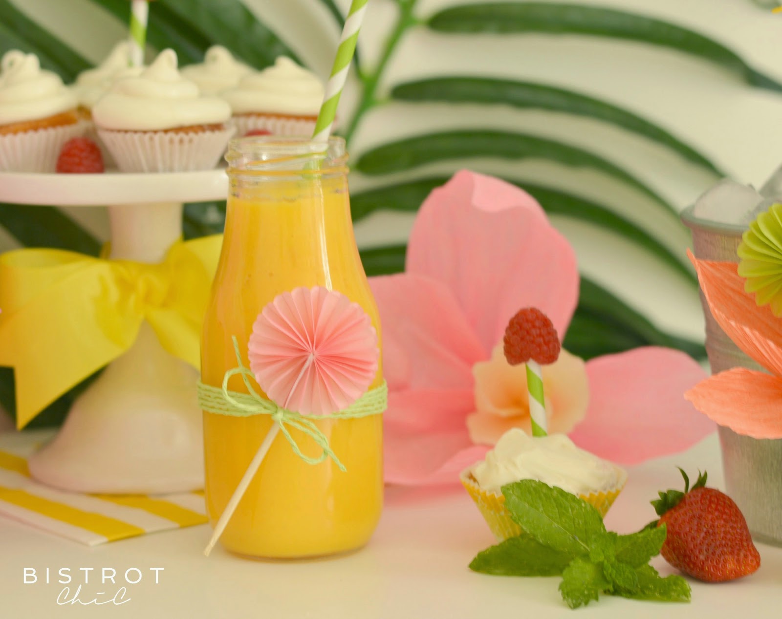 Drinks for a Summer Party Ideas by BistrotChic