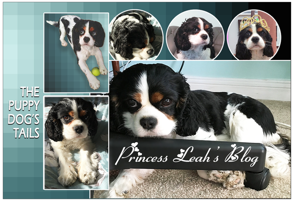 Princess Leah's Blog