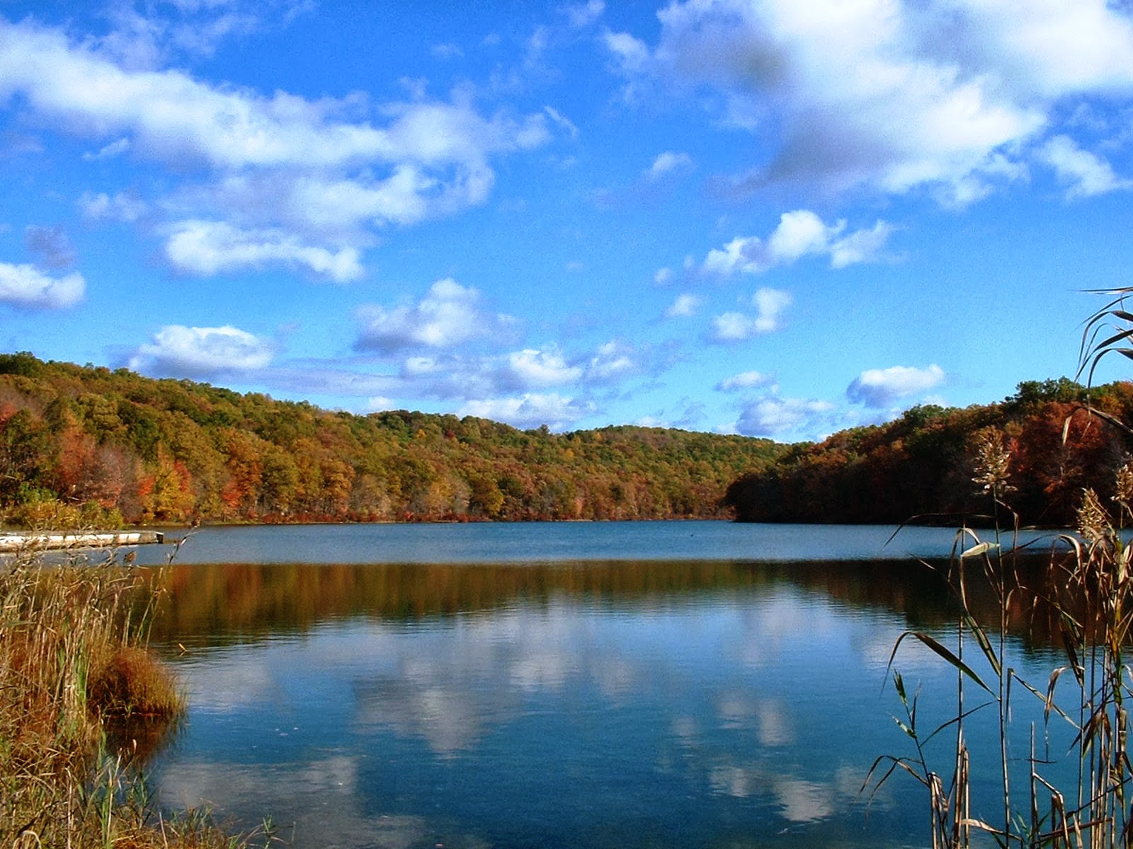 Frank's Place Rocky Glen Park
