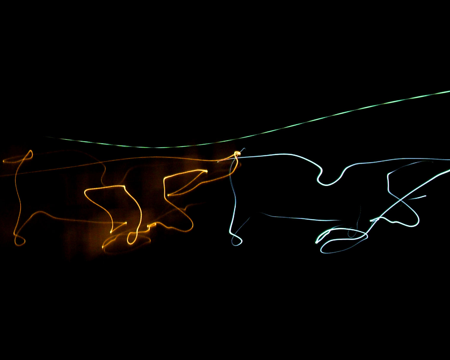 Terrell Texas Daily Photo lightning bugs