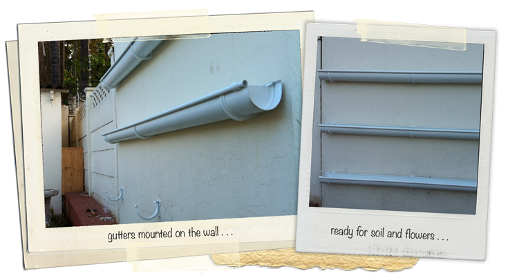 Old House, New Home: Adding more green to our green... (Our step-by
