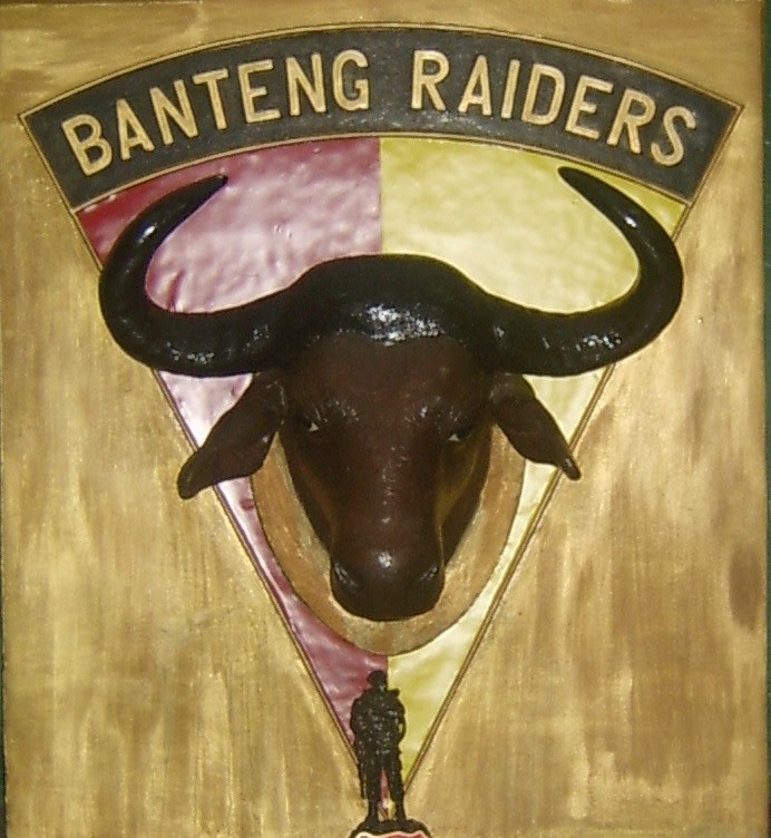BANTENG RAIDER: YONIF 400/RAIDER