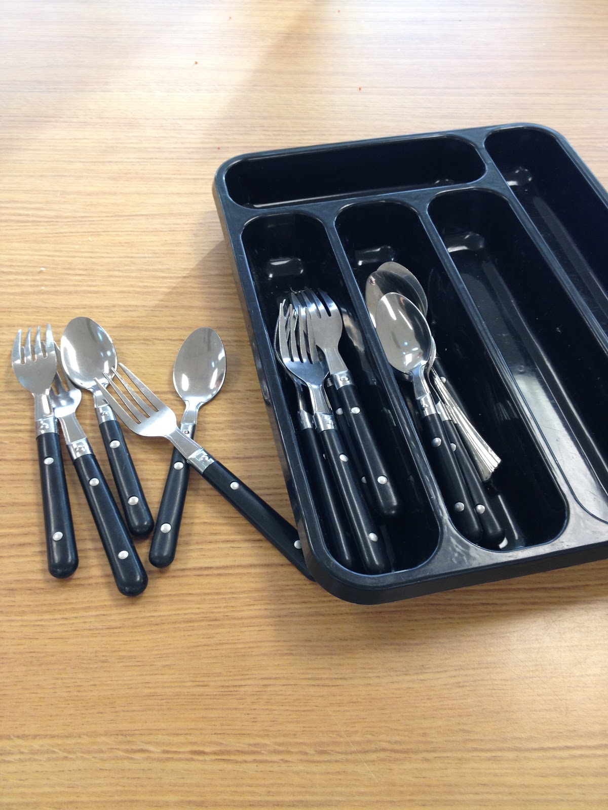 Teaching Learners with Multiple Special Needs Fine Motor Work Boxes