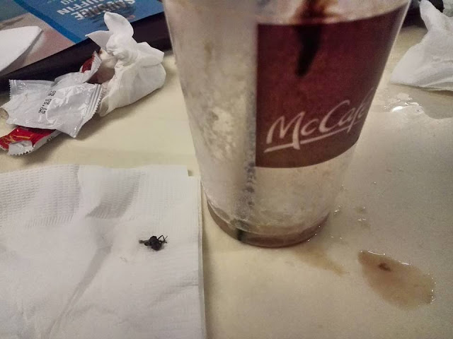 Customer finds mosquito while enjoying her McCafe Iced Mocha