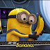 Minion photography ideas