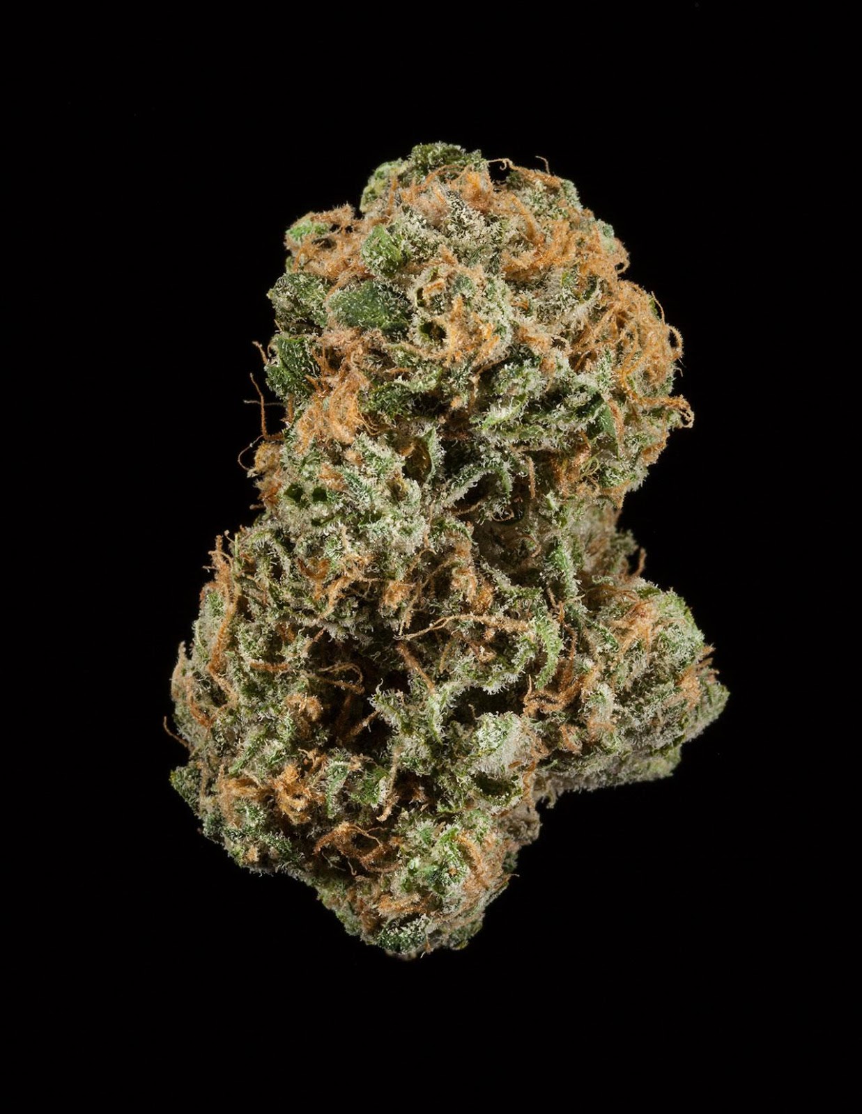 Blue Dream Blue Dream