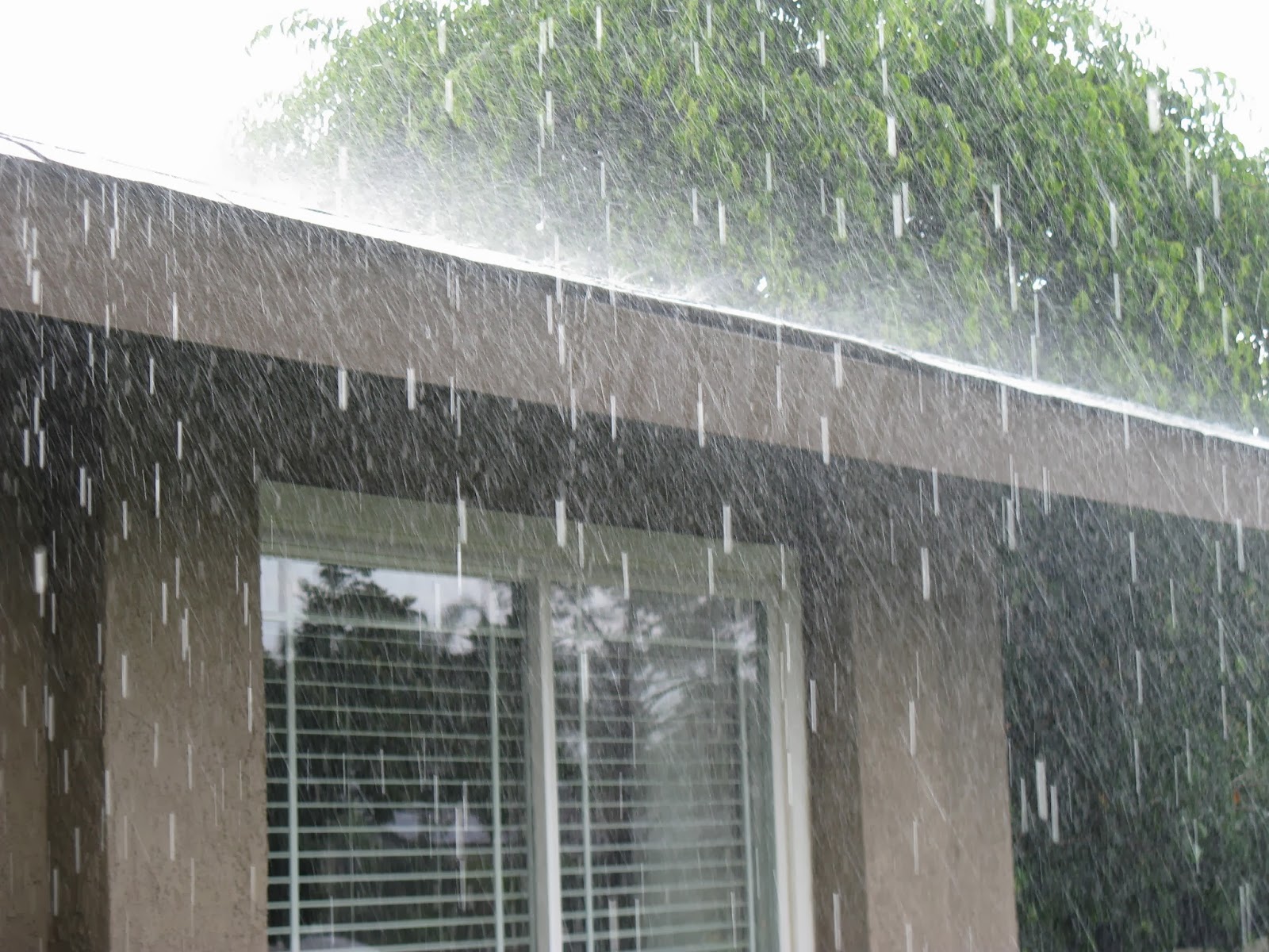 linsueray Yippee!! It's finally raining!!