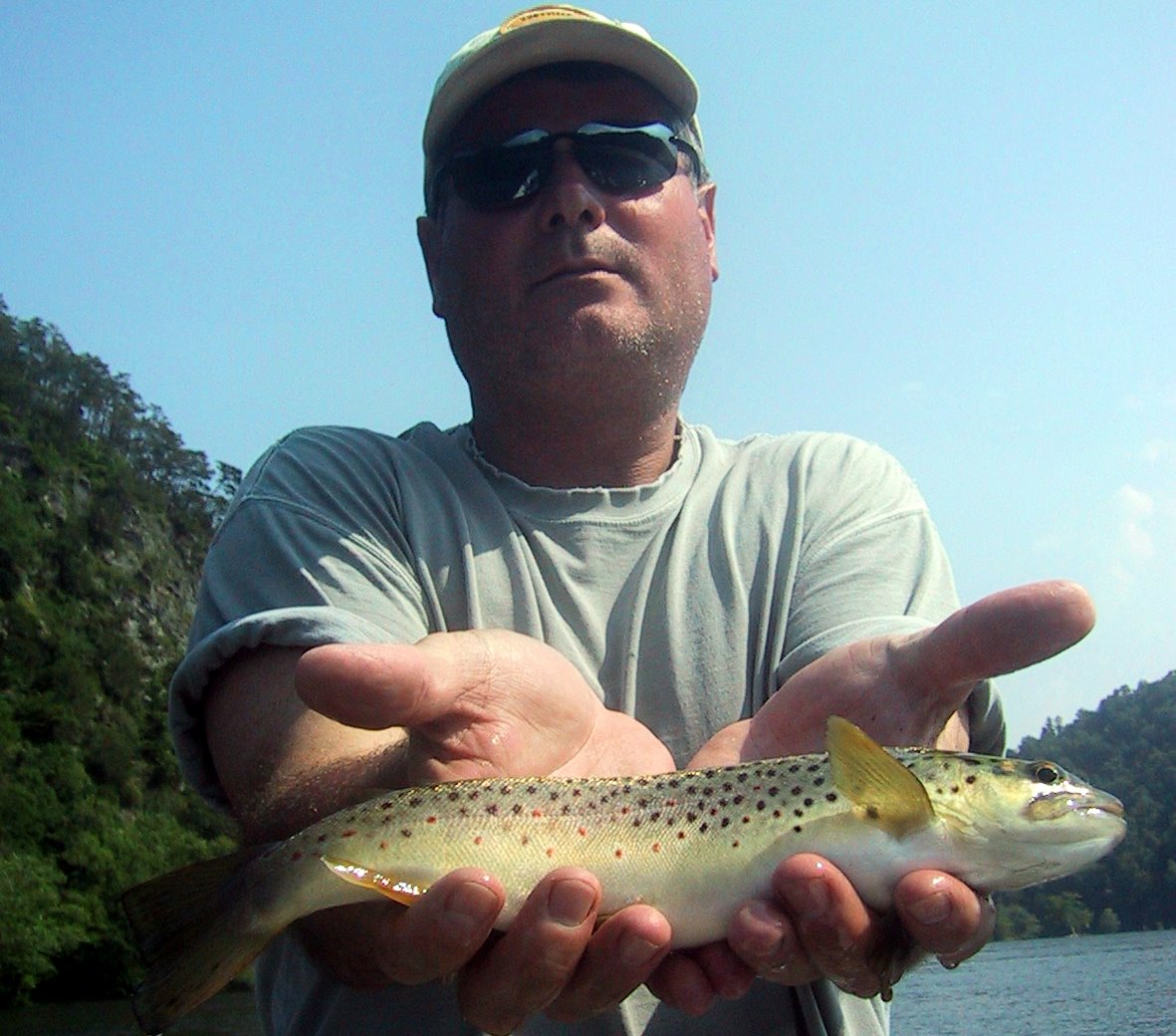 The Hiwassee River in East