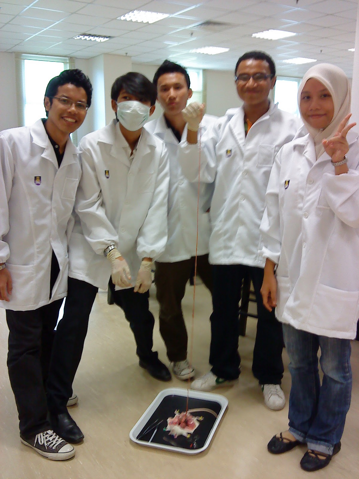 Mouse Dissection Experiment .EYJALUKMAN.