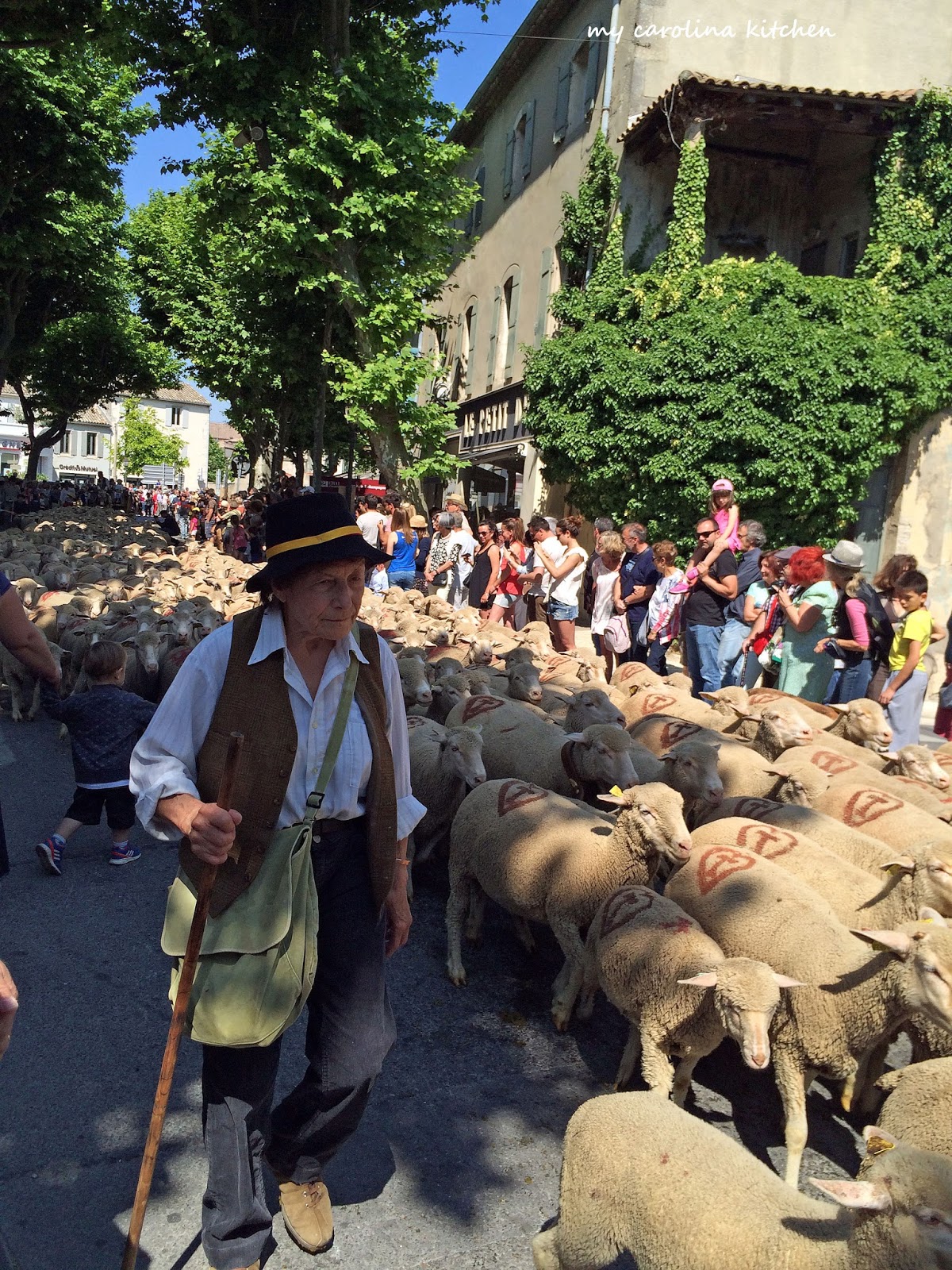 My Carolina Kitchen La Cantina Italian Pizzeria, SaintRémydeProvence