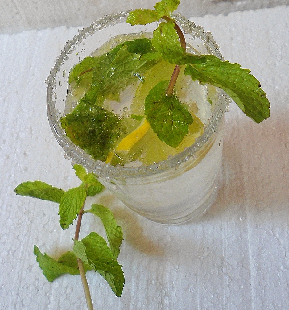 Babi 's Recipes Lemon Mojito Lemon Mint Mojito Virgin Mojito