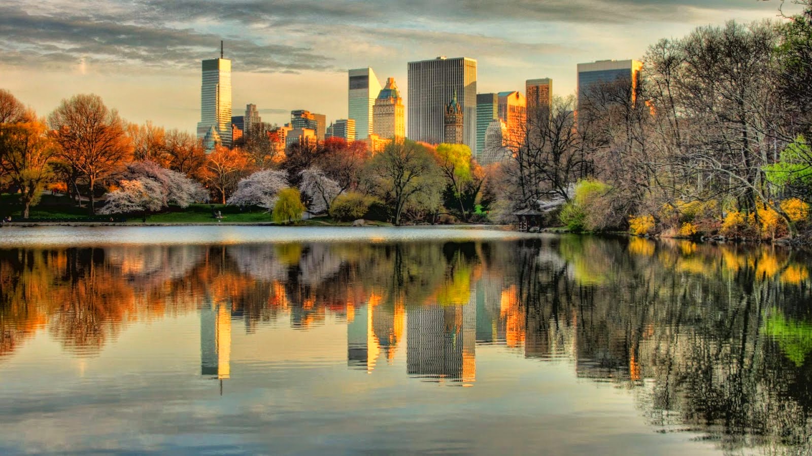Central Park Central Park