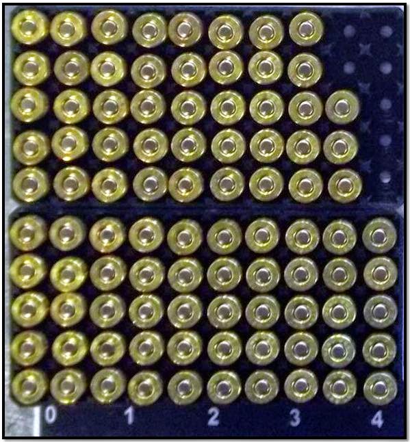 Ammo discovered in carry-on bag at CLT.