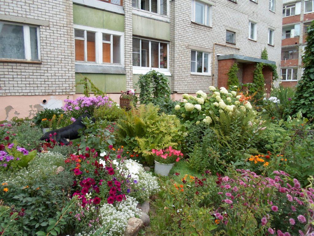 Клумбы Во Дворе Многоэтажного Дома