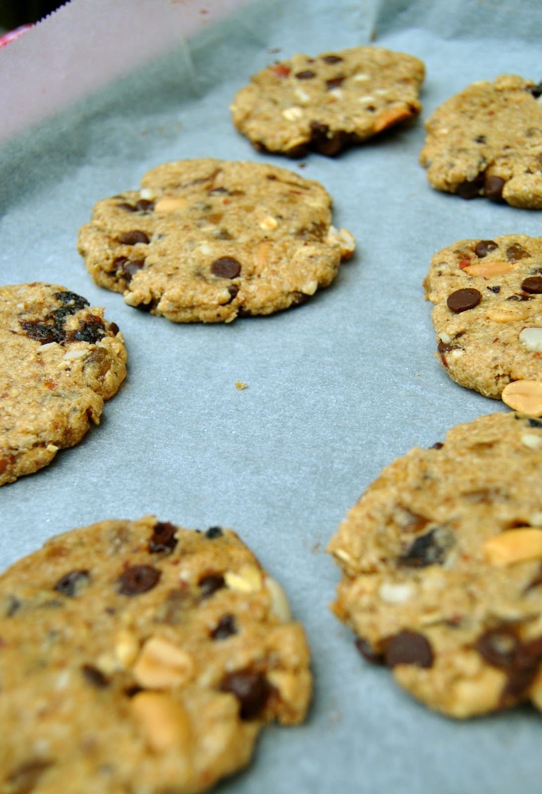 Bake n' Beebz Ginger nut & dark chocolate chip cookies (GF + vegan)
