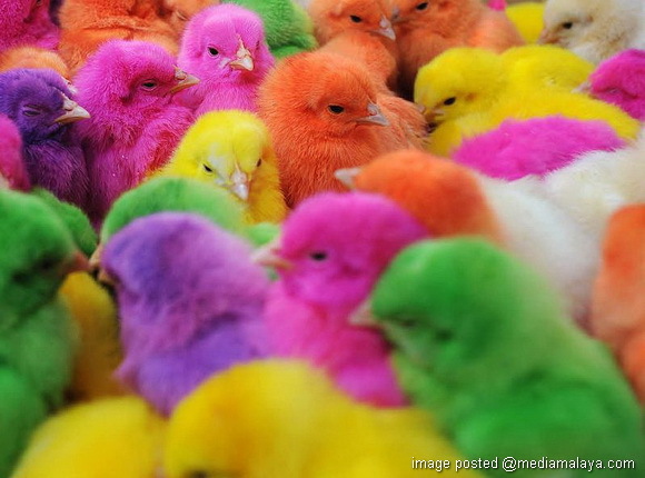 Life's like that!: Selamat Hari Abah