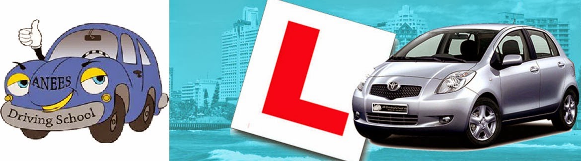 Best Professional Driving lessons & Courses for Adults/Teens