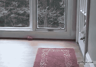 20 New Aww Filled Photos From Reddit Aww