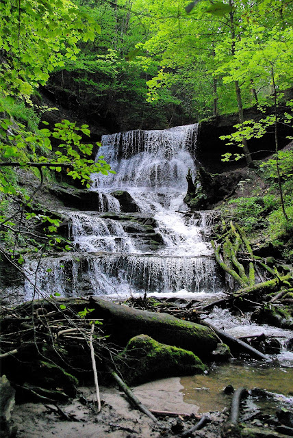 Photography Tuesday: Waterfall