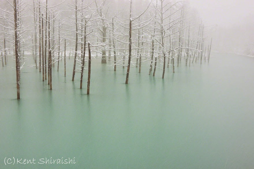 13. Green Frozen Pond Located In Hokkaido, Japan - 18 Beautiful Frozen Lakes, Oceans And Ponds That Resemble Fine Art 13. Green Frozen Pond Located In Hokkaido, Japan - 18 Beautiful Frozen Lakes, Oceans And Ponds That Resemble Fine Art