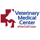 Our Vet