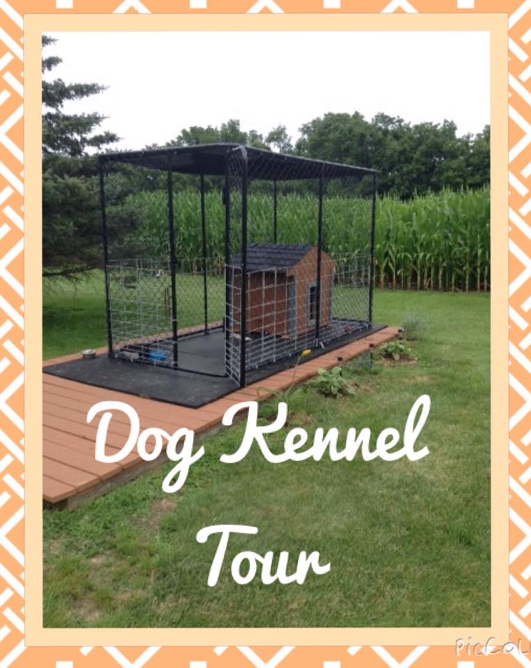 Dog Kennel Tour