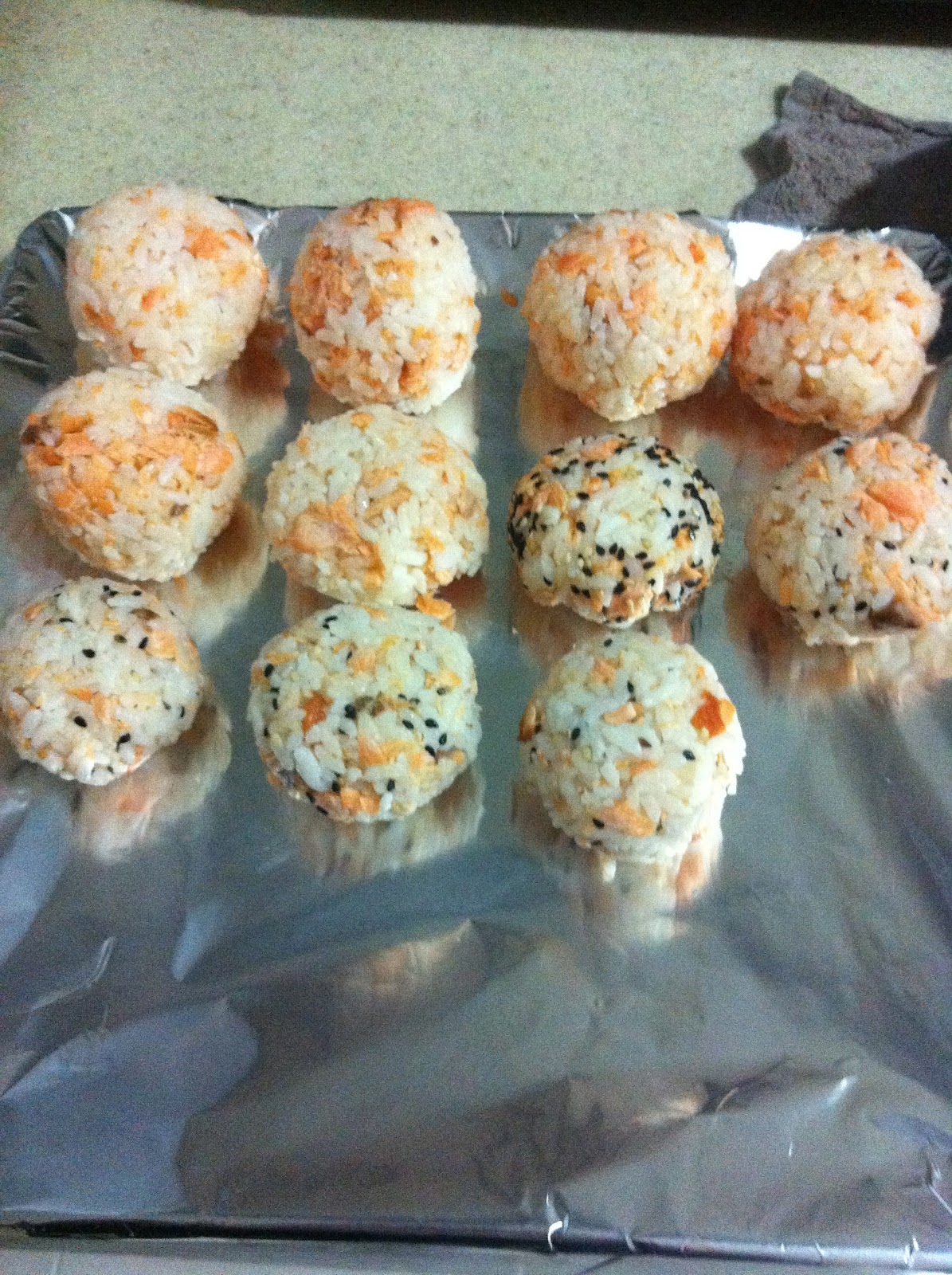 The Right to Be Alive Salmon Rice Balls