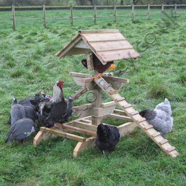 Natural Chicken Keeping Life Hacks 40+ Boredom Busters for Chickens and Chicks