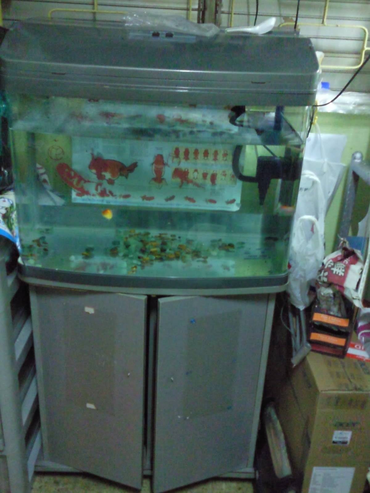 Tropical Fisher Man Fish Tanks And Aquarium CRS Aquarium Home Multiple