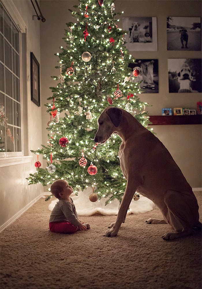 22 Little Kids And Their Big Dogs 22 Little Kids And Their Big Dogs