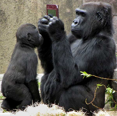 Animals Acting Like People Seen On www.coolpicturegallery.us