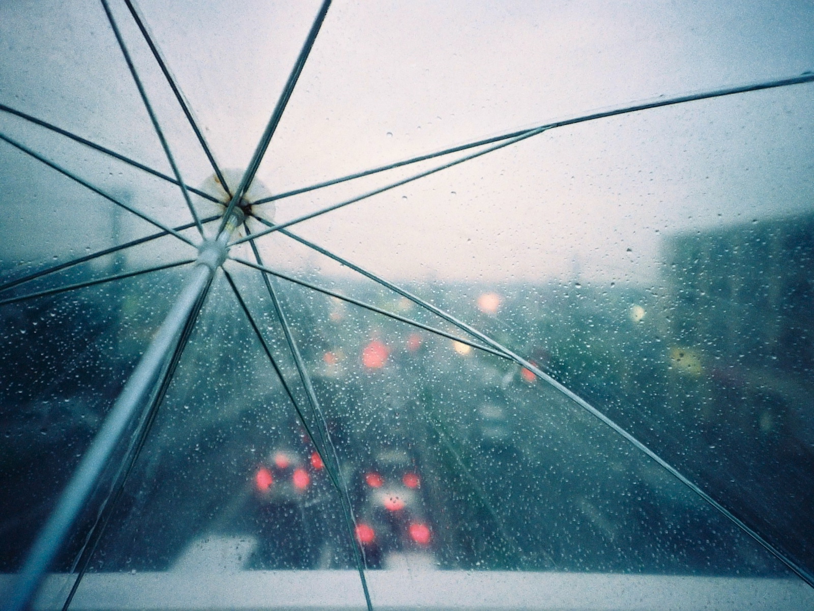 http://4.bp.blogspot.com/-F2QKWa7yIzo/TdEaiKy7ILI/AAAAAAAADOI/hS5DChQXCmM/s1600/rain+fall+time+umbrella+Desktop+pc+wallpapers.jpg