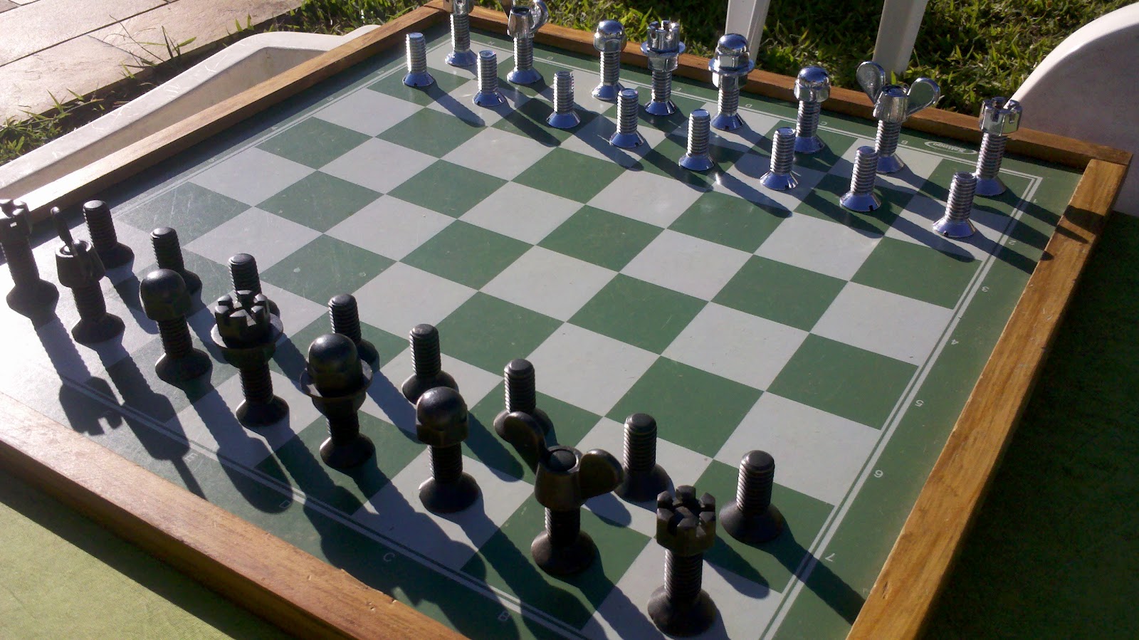 Em jogo 'pantaneiro' peças de xadrez têm formato de capivara - PP
