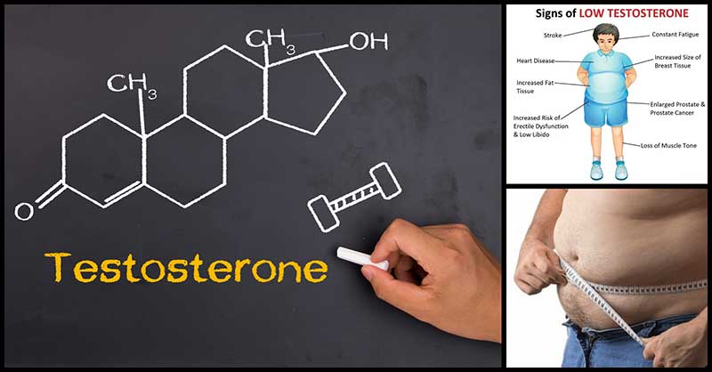 Masturbation helps testoserone