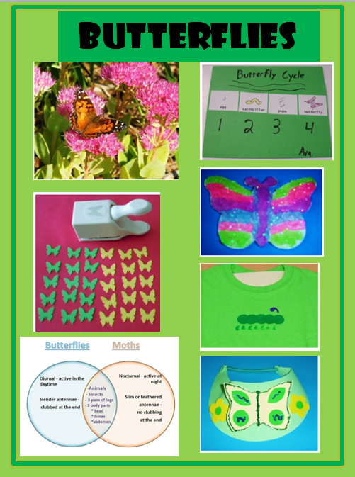 Learning Ideas Grades K8 Butterflies for Kids