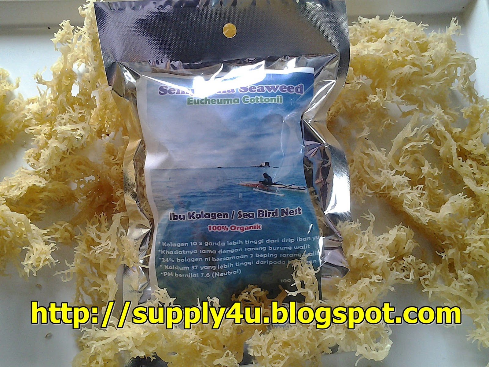 SUPPLIER of 100 PURE RAW SEAWEED MARINE COLLAGEN PURE COLLAGEN RAW