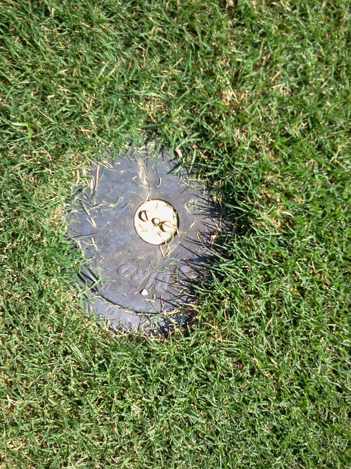 Grounds Department Blog Edging Sprinkler Heads