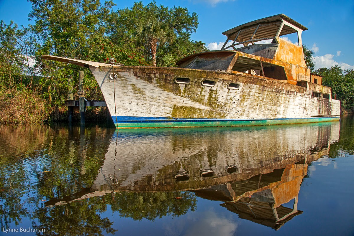 Lynne Buchanan's Photography Blog A River in TroubleReflections from