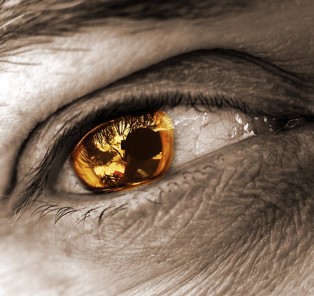 The 35 Golden Rules of Eye Care IVLine