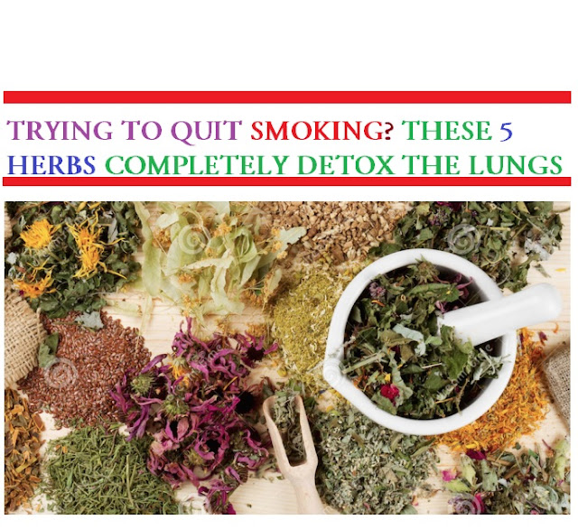 Best Cure 4 Diseases TRYING TO QUIT SMOKING? THESE 5 HERBS COMPLETELY