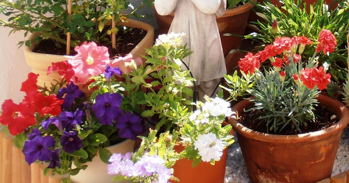 En macetas: Una “Estantería–Jardín”