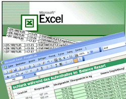 PROGRAMA EXCEL