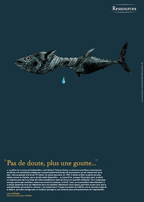 lisaa_biodiversite_biodiversité