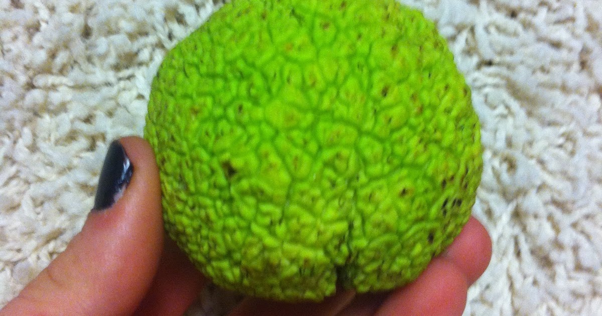 Healthily Ever After WHAT THE HECK IS A HEDGE BALL?