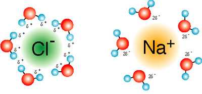 Qual a importancia da bioquimica Qual a importancia da bioquimica