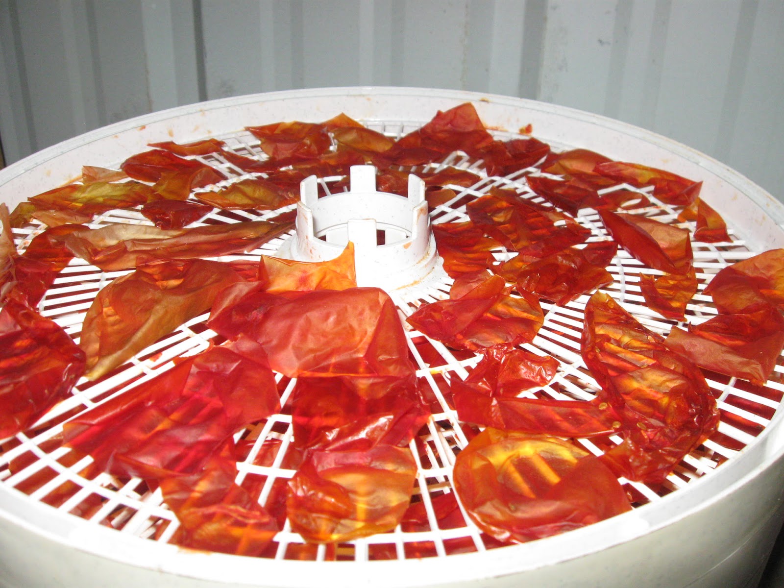 Bacon and Eggs Tomato Skins to Tomato Powder (Easy Tomato Paste