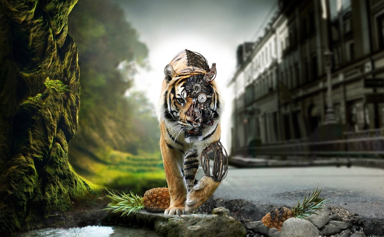 3d Wallpapers For Mobile For Touch Screen Free Download 3d Wallpapers For Mobile For Touch Screen Free Download