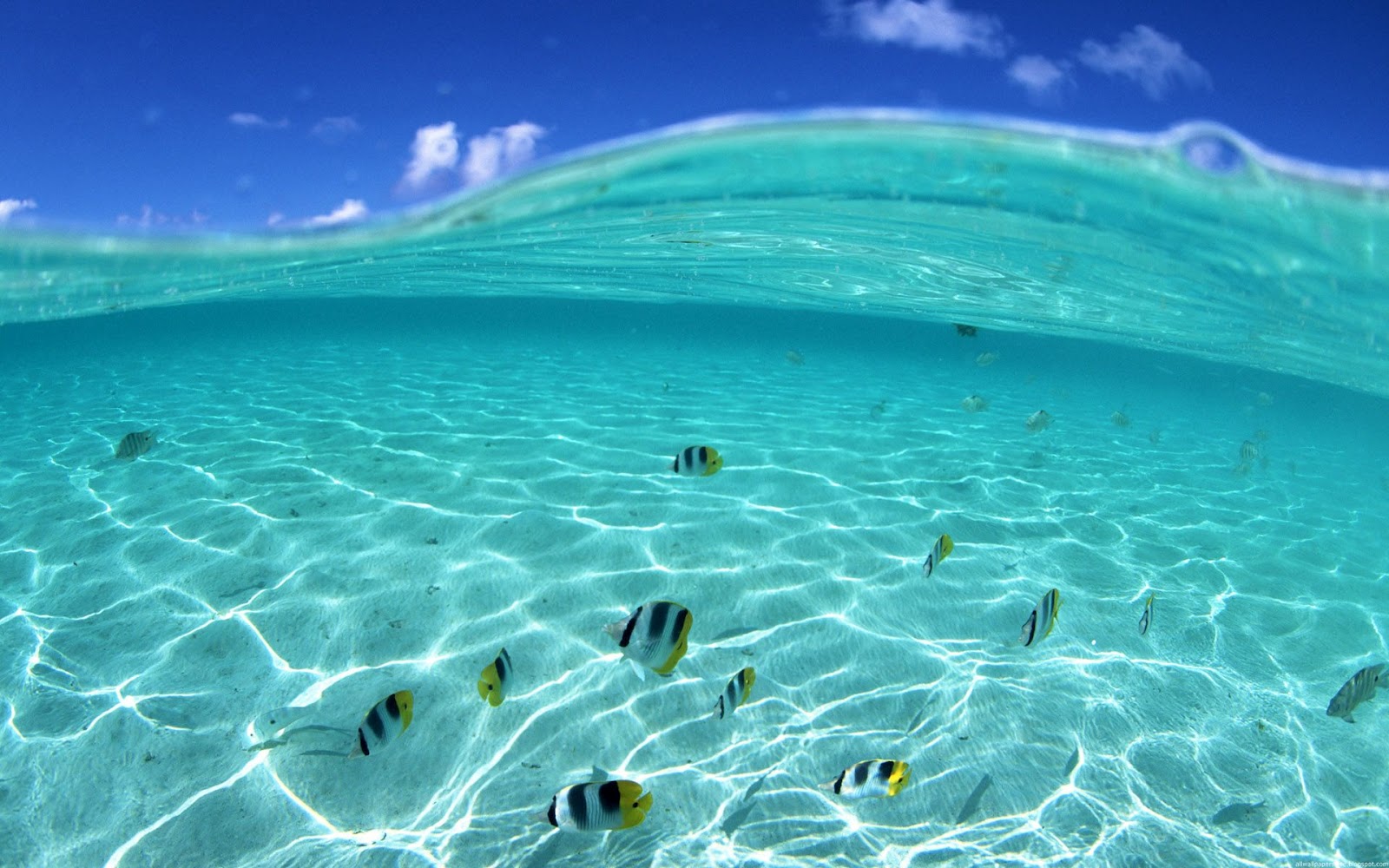 Summer Beaches Wallpaper