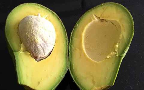 Cara Memeram Buah Alpukat 4 Cara Memeram Buah Alpukat 4